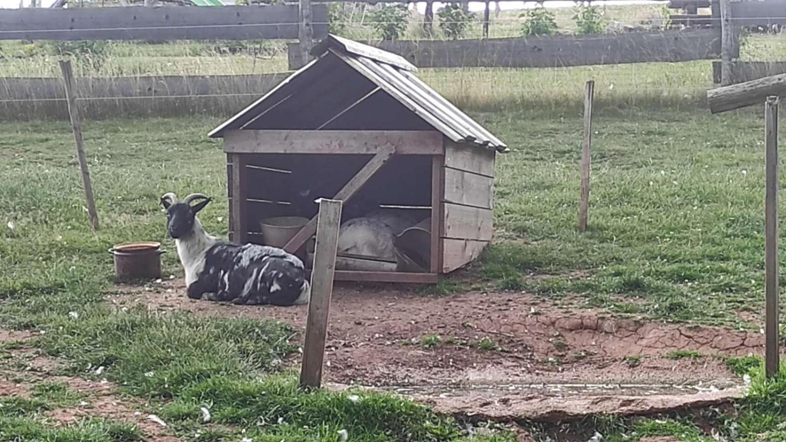 Apartman Na Statku Červený Kostelec エクステリア 写真
