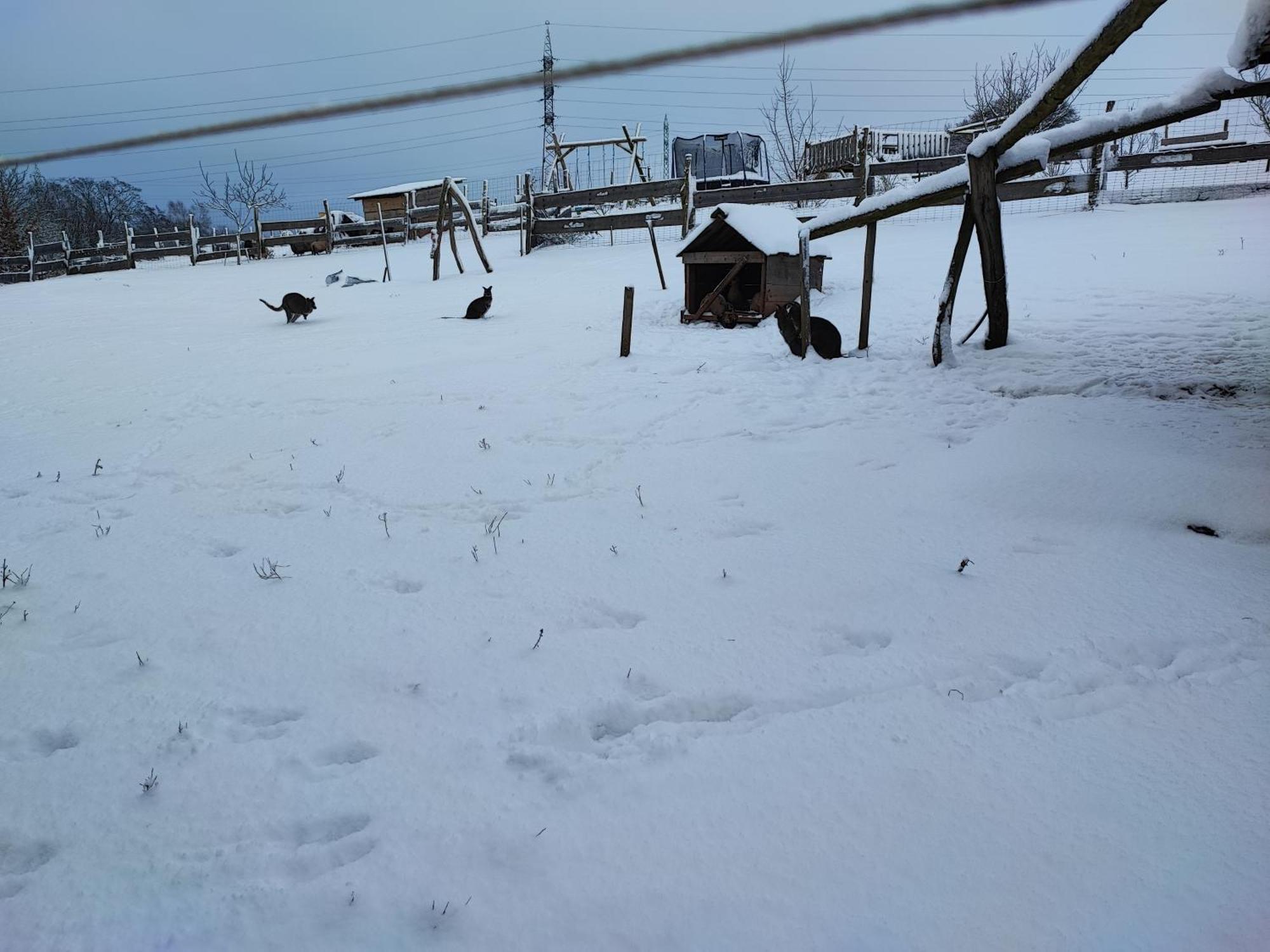 Apartman Na Statku Červený Kostelec エクステリア 写真